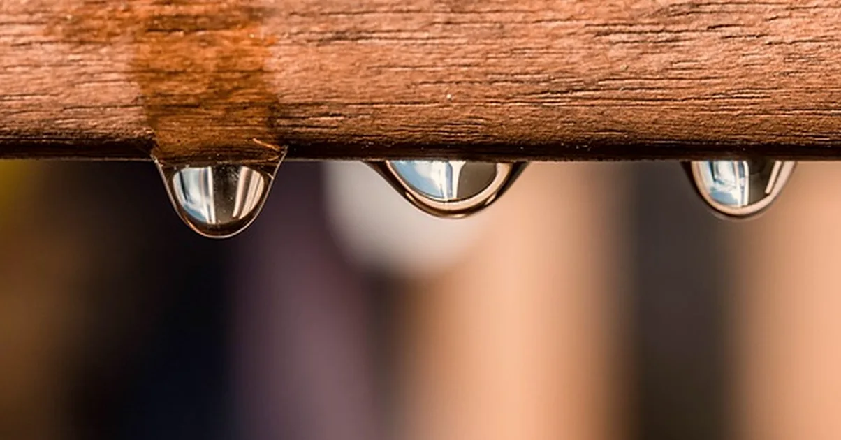 La bañera como bebedero ensucia el agua del canario