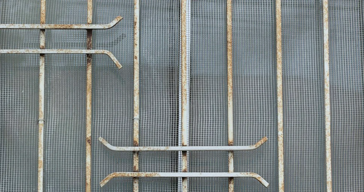 Una jaula inoxidable para aves no evita escapes